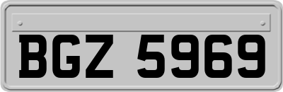 BGZ5969