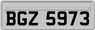 BGZ5973