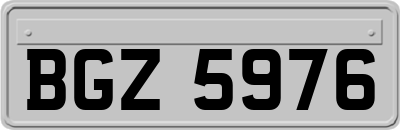 BGZ5976