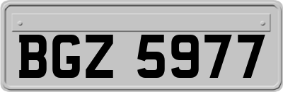 BGZ5977
