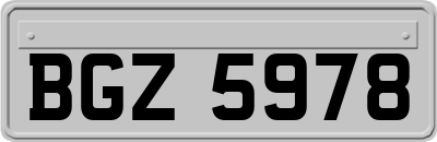 BGZ5978