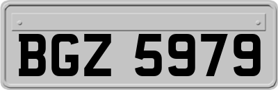BGZ5979