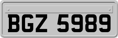 BGZ5989