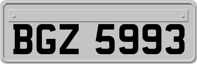 BGZ5993