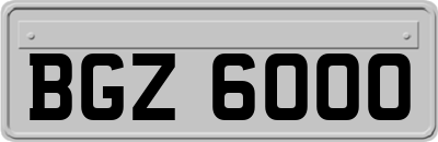 BGZ6000