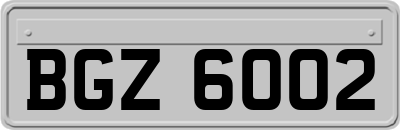 BGZ6002