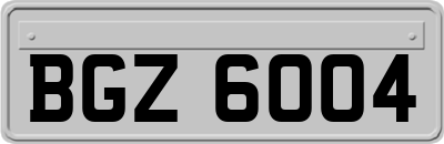 BGZ6004