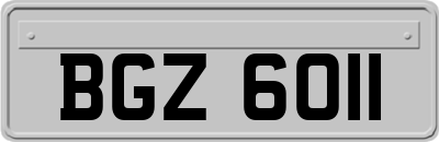 BGZ6011