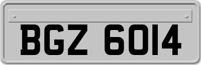 BGZ6014