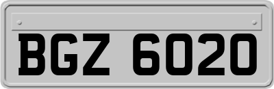 BGZ6020