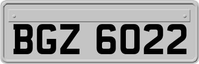 BGZ6022