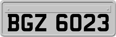 BGZ6023