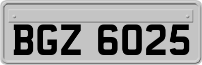 BGZ6025