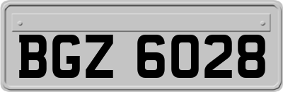 BGZ6028