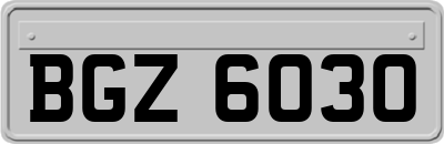 BGZ6030