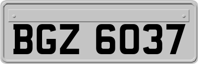 BGZ6037
