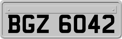 BGZ6042