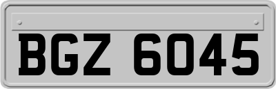 BGZ6045