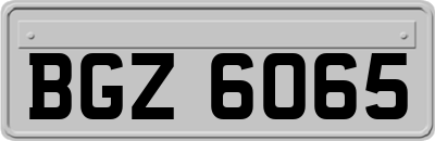 BGZ6065