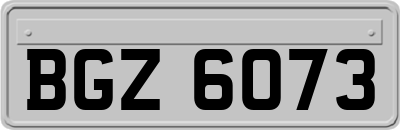 BGZ6073
