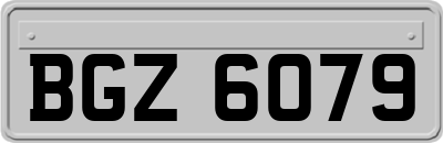 BGZ6079
