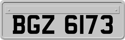 BGZ6173