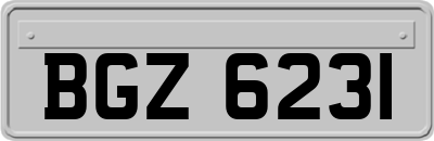 BGZ6231