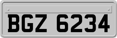 BGZ6234