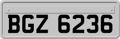 BGZ6236