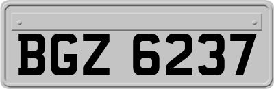 BGZ6237