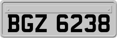 BGZ6238
