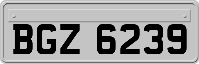 BGZ6239