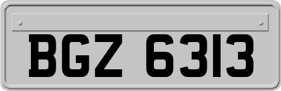 BGZ6313