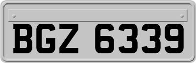 BGZ6339
