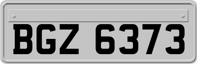 BGZ6373
