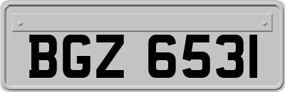 BGZ6531