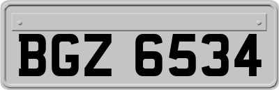 BGZ6534