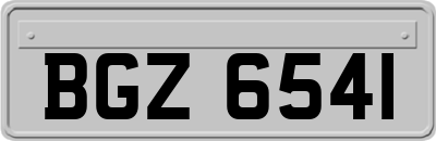 BGZ6541