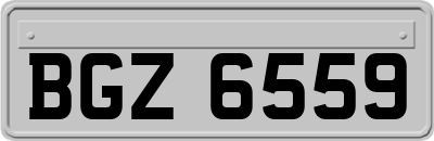 BGZ6559