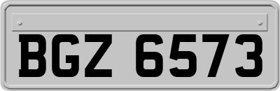 BGZ6573