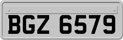 BGZ6579