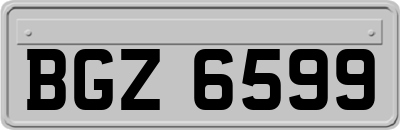 BGZ6599