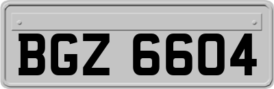 BGZ6604