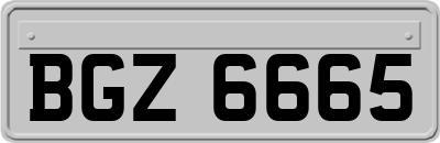 BGZ6665