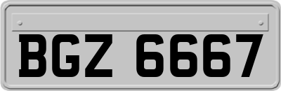 BGZ6667