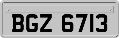 BGZ6713