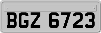 BGZ6723