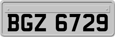 BGZ6729