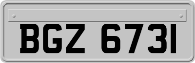 BGZ6731