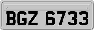 BGZ6733
